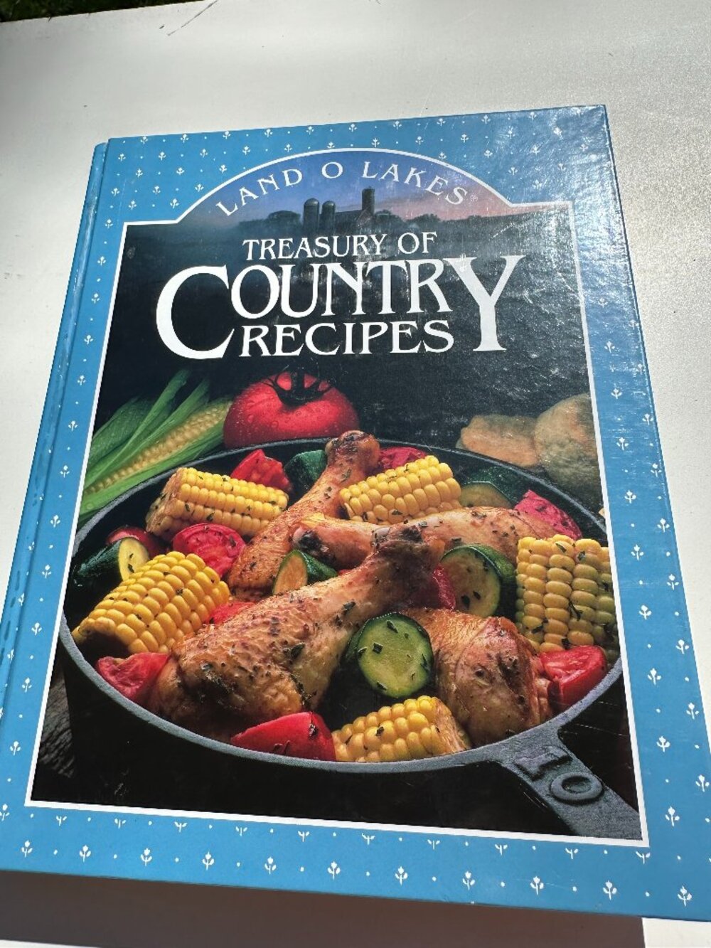 B84 LAND O LAKES TREASURY OF COUNTRY RECIPES VINTAGE 1992